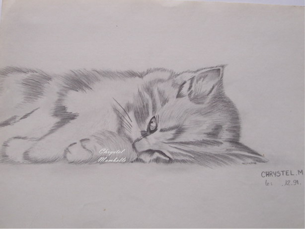 bebe chat.jpg